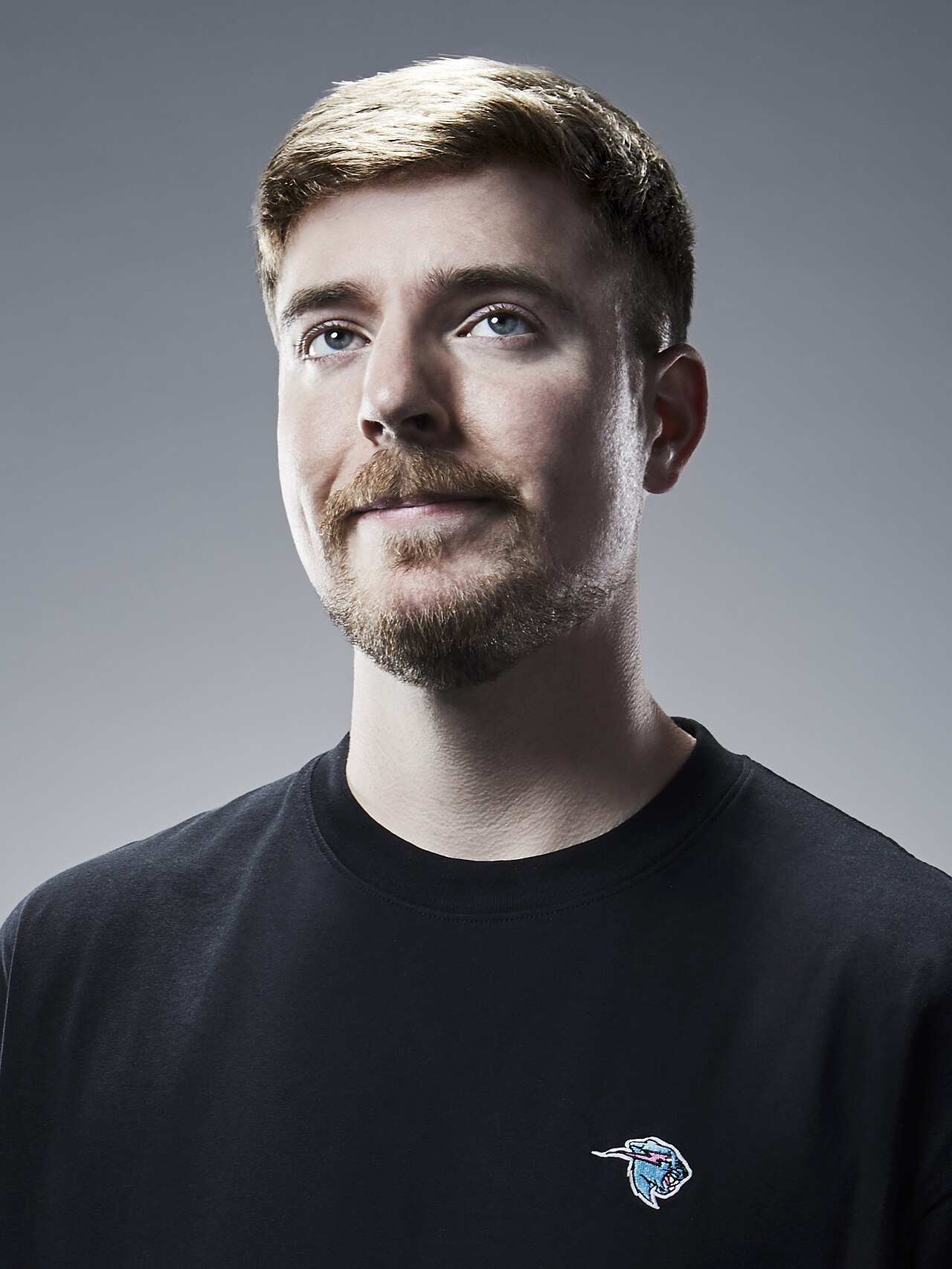 MrBeast profile